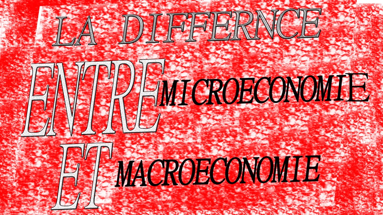 Quelle est la différence entre la microéconomie et la macroéconomie ?