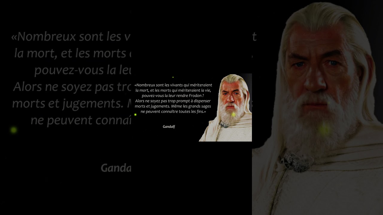 Les meilleures CITATIONS de GANDALF 2  #motivation #serenite #calmness #calmerlesprit #gandalf