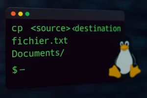 cp linux